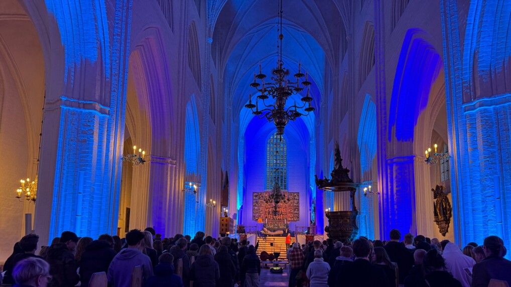 Domkirke badet i blåt lys