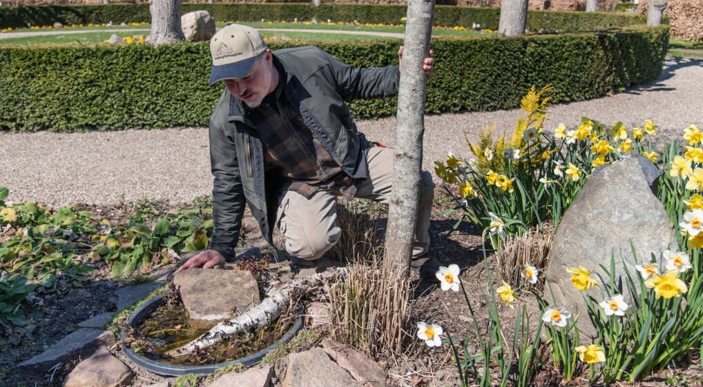 ifølge Allan Holm stadig godt tænke på æstetikken. små vandhuller med planter som vandmynte og blåhat.