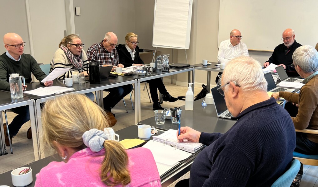 Møde i Fyens Stiftsråd