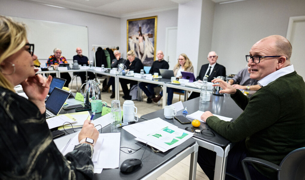 Møde i Fyens Stiftsråd