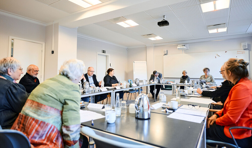Møde i Fyens Stiftsråd